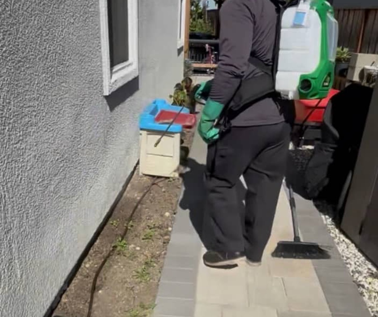 pest control technician service visit