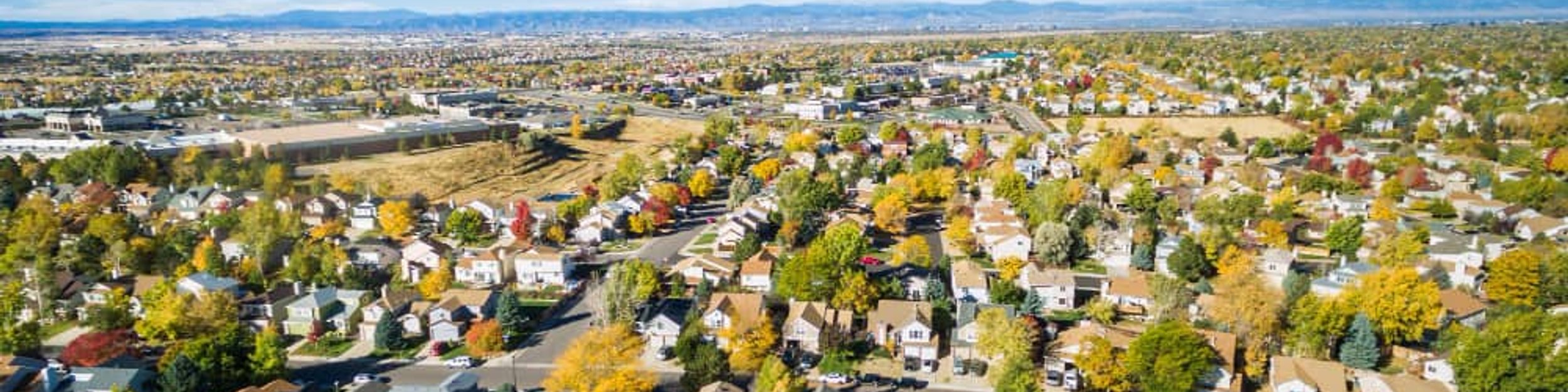 Bay Area pest control service